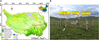Environmental Controls on Multi-Scale Dynamics of Net Carbon Dioxide Exchange From an Alpine Peatland on the Eastern Qinghai-Tibet Plateau